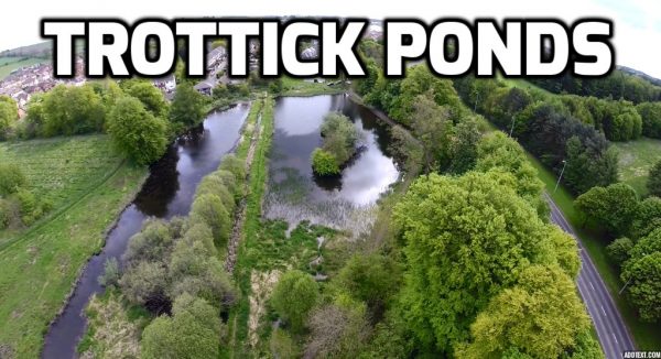 Trottick Ponds, Dundee, Scotland