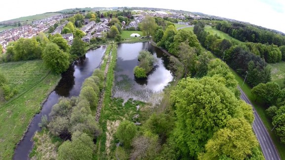 Trottick Ponds, Dundee, Scotland