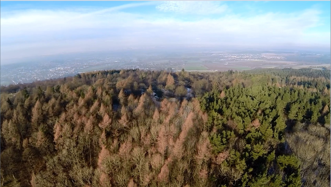 Kinnoull Hill, Perth, Scotland