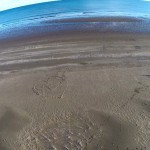 Tentsmuir Beach, Fife, Scotland