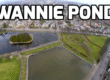 Swannie Ponds - Dundee