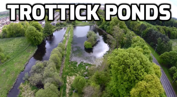 Trottick Ponds