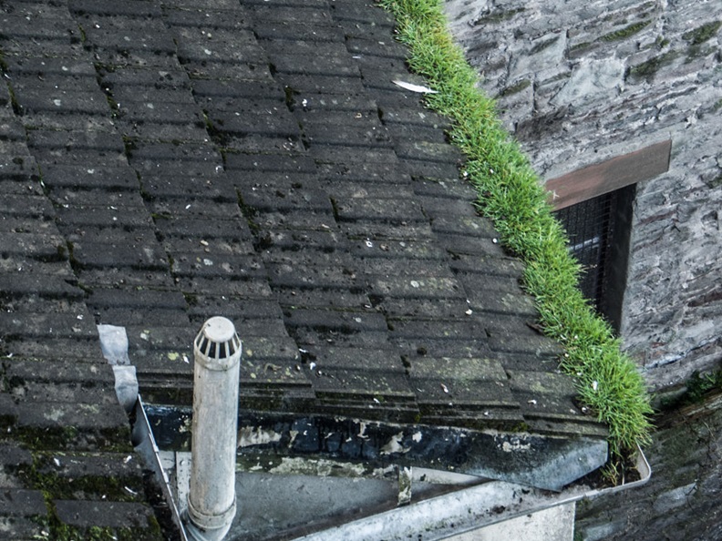 Drone shop gutter inspection